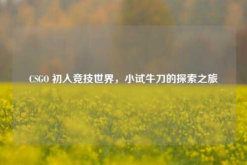 CSGO 初入竞技世界,小试牛刀的探索之旅