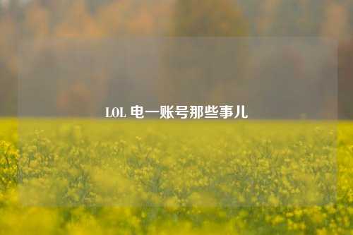 LOL 电一账号那些事儿
