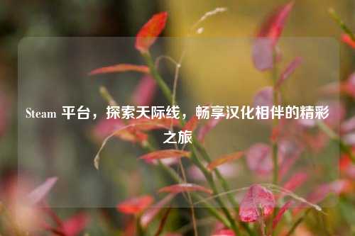 Steam 平台,探索天际线,畅享汉化相伴的精彩之旅