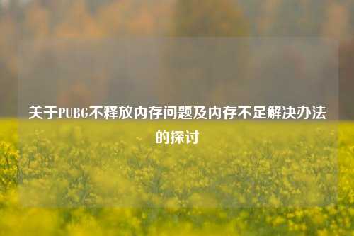 关于PUBG不释放内存问题及内存不足解决办法的探讨