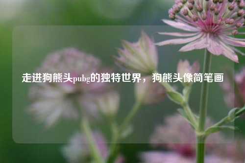 走进狗熊头pubg的独特世界,狗熊头像简笔画