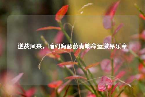 逆战风来,暗刃海瑟薇奏响命运激昂乐章