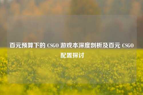 百元预算下的 CSGO 游戏本深度剖析及百元 CSGO 配置探讨