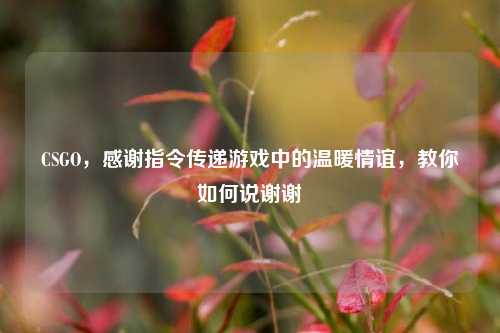 CSGO,感谢指令传递游戏中的温暖情谊,教你如何说谢谢