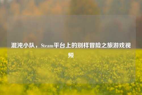 混沌小队,Steam平台上的别样冒险之旅游戏视频