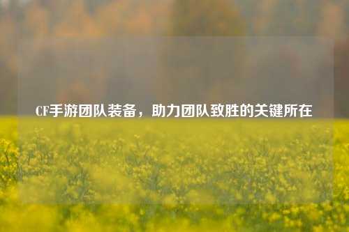 CF手游团队装备,助力团队致胜的关键所在