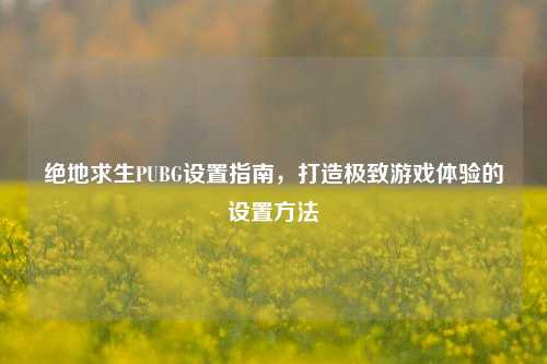 绝地求生PUBG设置指南,打造极致游戏体验的设置