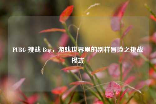 PUBG 挑战 Bug,游戏世界里的别样冒险之挑战模式