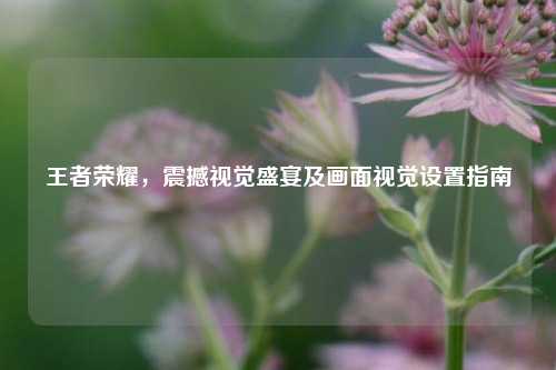 王者荣耀,震撼视觉盛宴及画面视觉设置指南