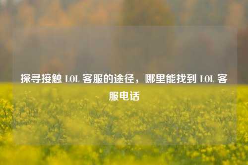 探寻接触 LOL 的途径,哪里能找到 LOL