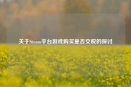 关于Steam平台游戏购买是否交税的探讨