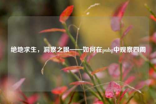 绝地求生,洞察之眼——如何在pubg中观察四周