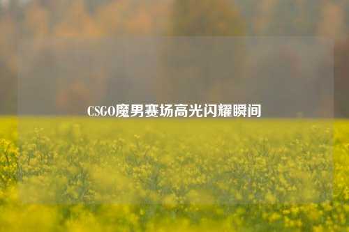 CSGO魔男赛场高光闪耀瞬间