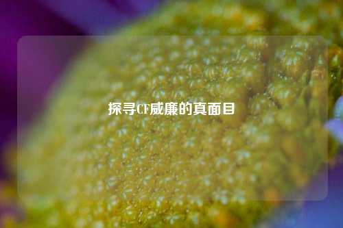 探寻CF威廉的真面目