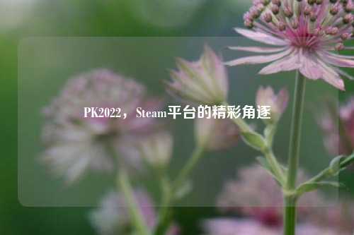 PK2022,Steam平台的精彩角逐