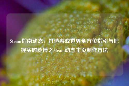 Steam指南动态,打造游戏世界全方位指引与把握实时脉搏之Steam动态主页