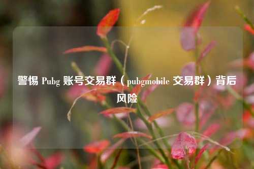 警惕 Pubg 账号交易群(pubgmobile 交易群)背后风险