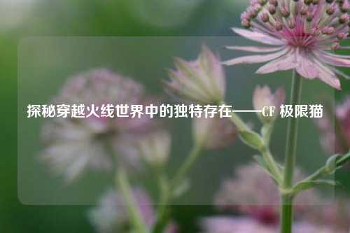 探秘穿越火线世界中的独特存在——CF 极限猫