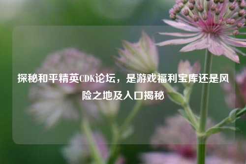 探秘和平精英CDK论坛,是游戏福利宝库还是风险之地及入口揭秘