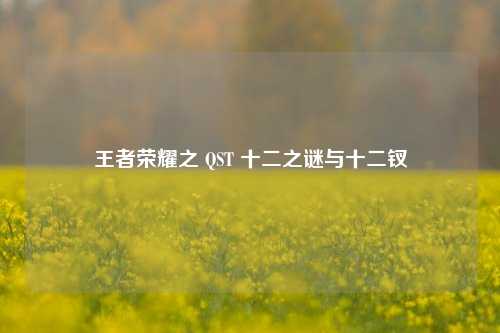 王者荣耀之 QST 十二之谜与十二钗