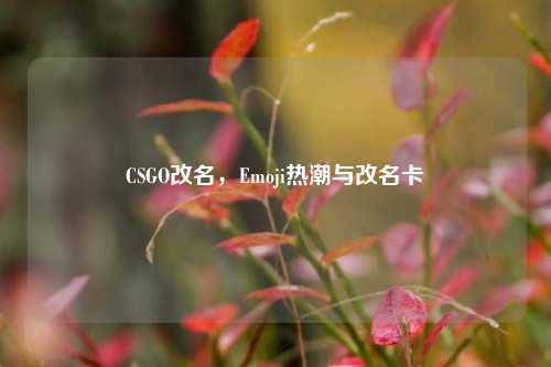 CSGO改名,Emoji热潮与改名卡