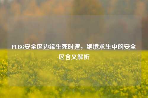PUBG安全区边缘生死时速,绝境求生中的安全区含义解析