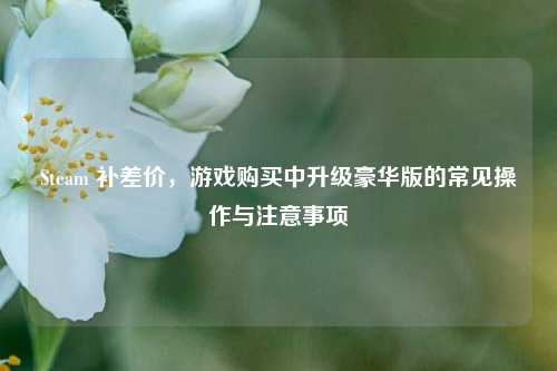 Steam 补差价,游戏购买中升级豪华版的常见操作与注意事项