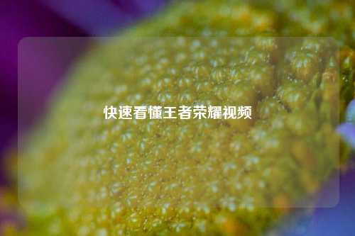 快速看懂王者荣耀视频