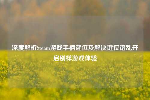 深度解析Steam游戏手柄键位及解决键位错乱开启别样游戏体验