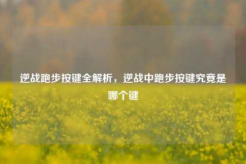 逆战跑步按键全解析,逆战中跑步按键究竟是哪个键