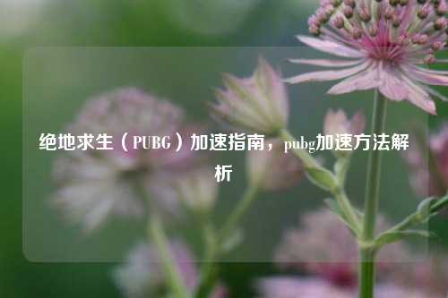 绝地求生(PUBG)加速指南,pubg加速 解析