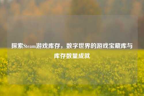 探索Steam游戏库存,数字世界的游戏宝藏库与库存数量成就