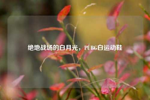 绝地战场的白月光,PUBG白运动鞋