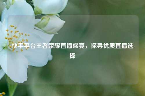 快手平台王者荣耀直播盛宴,探寻优质直播选择