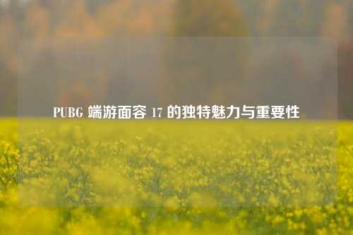 PUBG 端游面容 17 的独特魅力与重要性