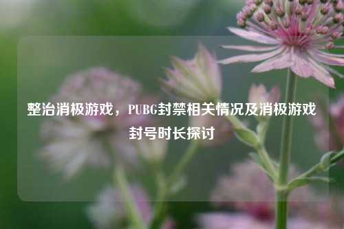 整治消极游戏,PUBG封禁相关情况及消极游戏封号时长探讨