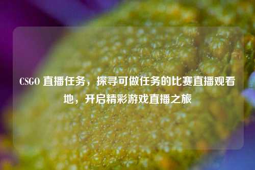 CSGO 直播任务,探寻可做任务的比赛直播观看地,开启精彩游戏直播之旅