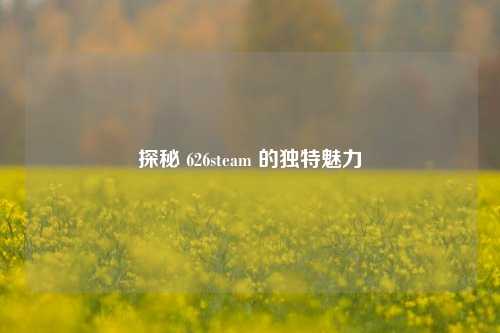 探秘 626steam 的独特魅力