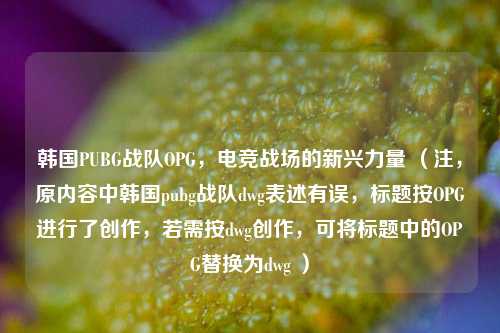 韩国PUBG战队OPG,电竞战场的新兴力量 (注,原内容中韩国pubg战队dwg表述有误,标题按OPG进行了创作,若需按dwg创作,可将标题中的OPG替换为dwg )