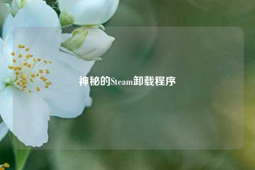 神秘的Steam卸载程序