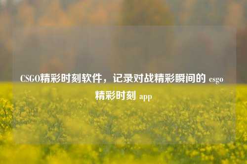 CSGO精彩时刻软件,记录对战精彩瞬间的 csgo 精彩时刻 app