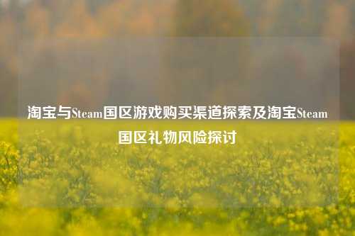 与Steam国区游戏购买渠道探索及 Steam国区礼物风险探讨