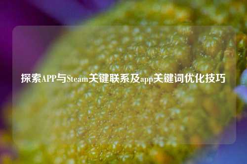 探索APP与Steam关键联系及app关键词优化技巧