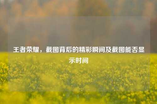 王者荣耀,截图背后的精彩瞬间及截图能否显示时间