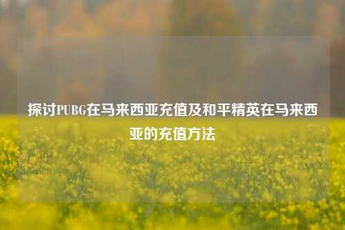 探讨PUBG在马来西亚充值及和平精英在马来西亚的充值