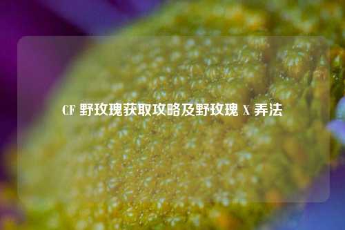CF 野玫瑰获取攻略及野玫瑰 X 弄法