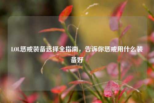LOL惩戒装备选择全指南,告诉你惩戒用什么装备好