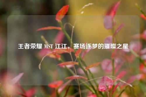 王者荣耀 MST 江江,赛场逐梦的璀璨之星