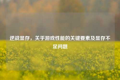 逆战显存,关乎游戏性能的关键要素及显存不足问题
