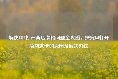 解决LOL打开商店卡顿问题全攻略,探究lol打开商店就卡的原因及解决办法